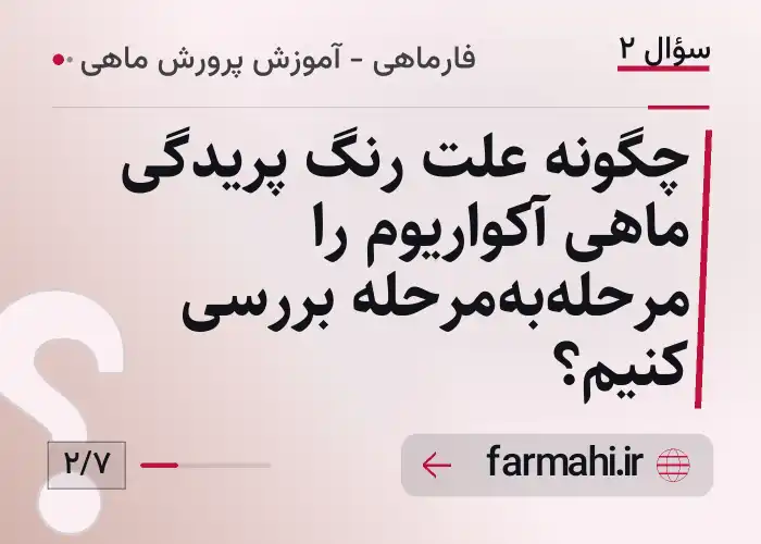 چگونه علت رنگ پریدگی ماهی آکواریوم را مرحله‌به‌مرحله بررسی کنیم؟