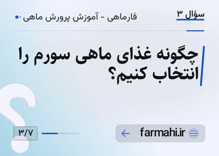 چگونه غذای ماهی سورم را انتخاب کنیم؟