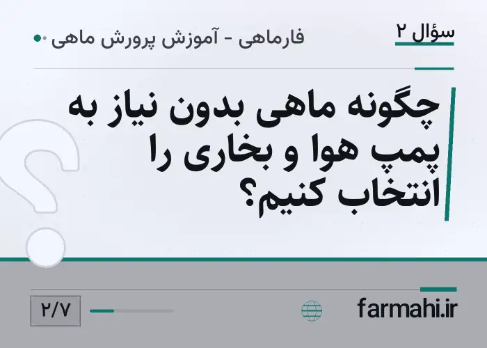 چگونه ماهی بدون نیاز به پمپ هوا و بخاری را انتخاب کنیم؟