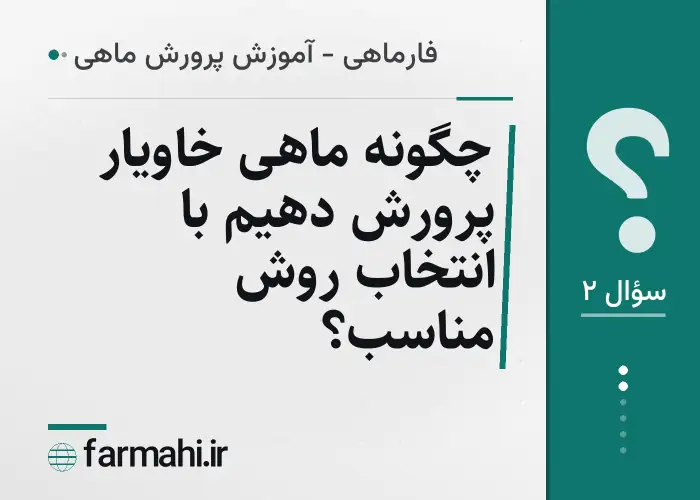 چگونه ماهی خاویار پرورش دهیم با انتخاب روش مناسب؟