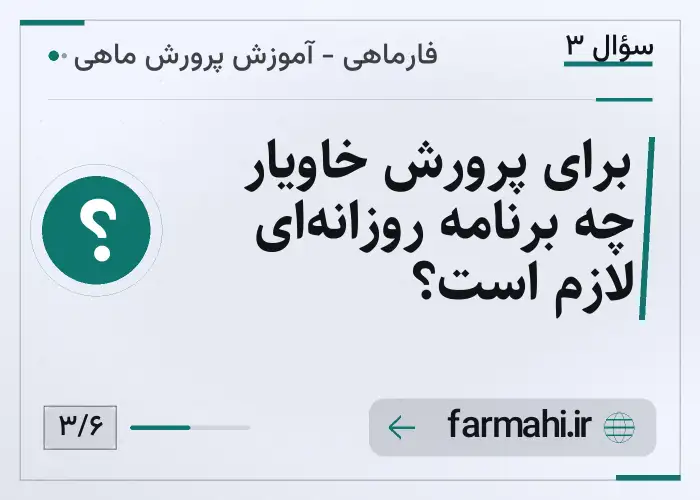 برای پرورش خاویار چه برنامه روزانه‌ای لازم است؟