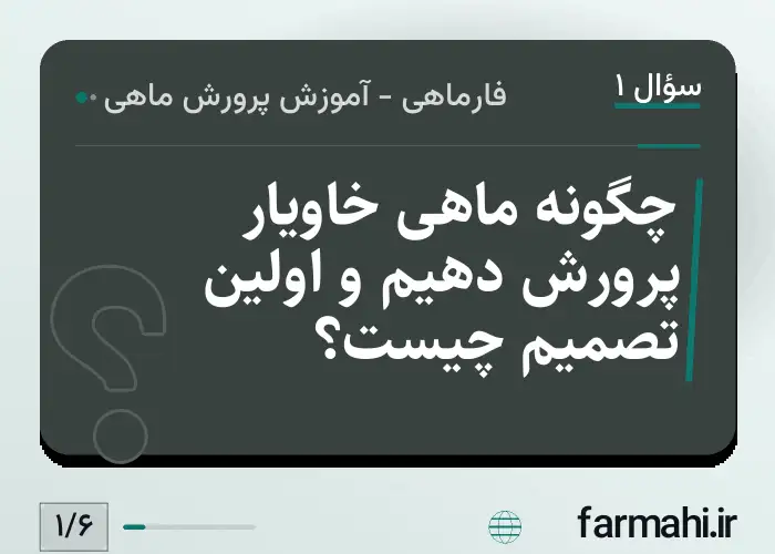 چگونه ماهی خاویار پرورش دهیم و اولین تصمیم چیست؟