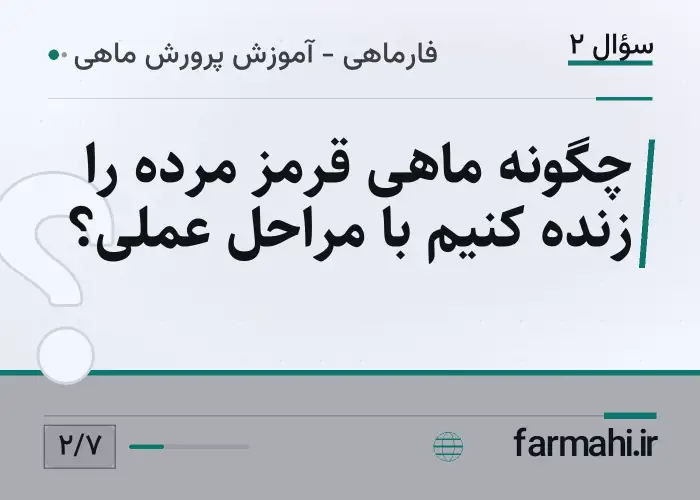 چگونه ماهی قرمز مرده را زنده کنیم با مراحل عملی؟