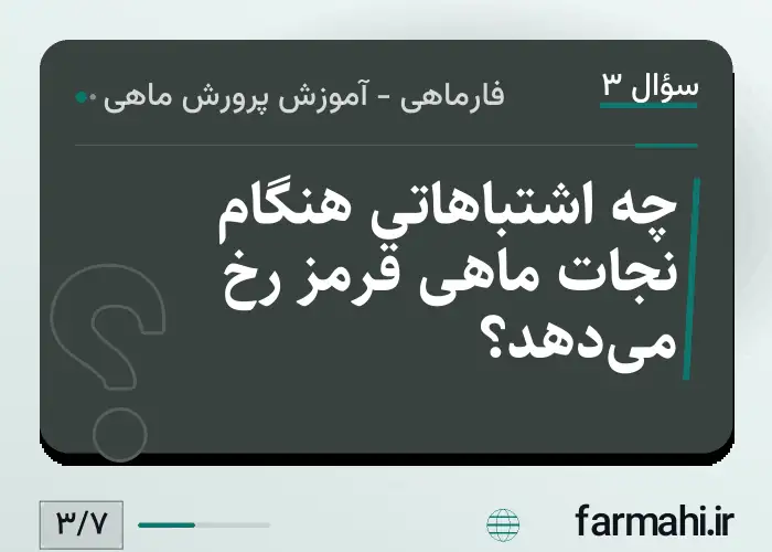 چه اشتباهاتی هنگام نجات ماهی قرمز رخ میدهد؟