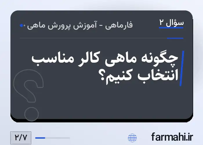چگونه ماهی کالر مناسب انتخاب کنیم؟
