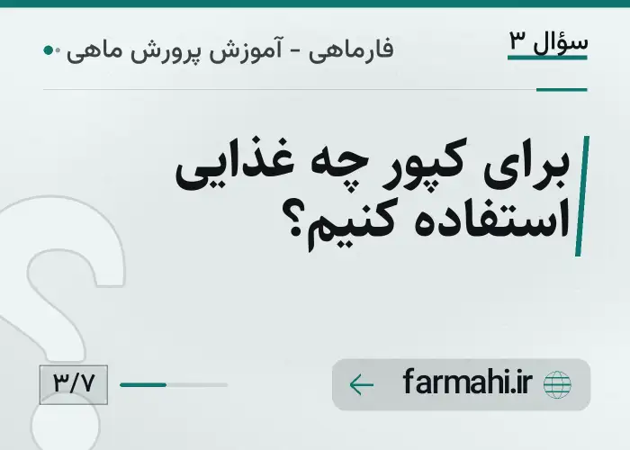 برای کپور چه غذایی استفاده کنیم؟
