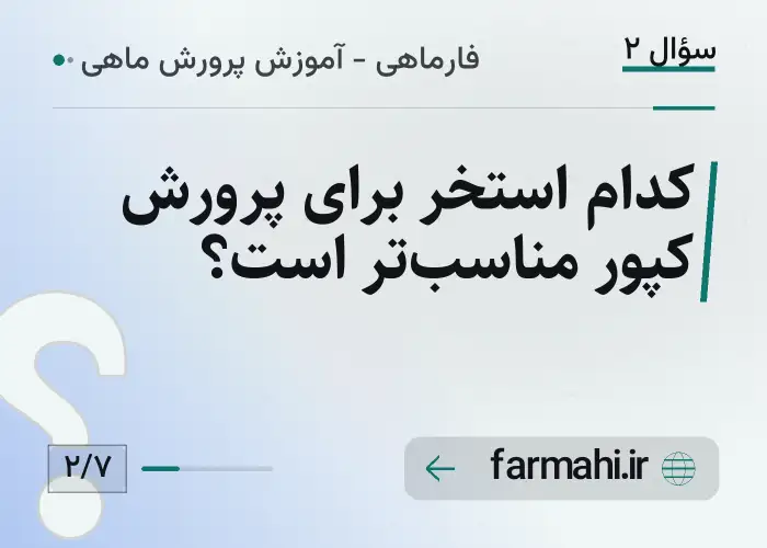 کدام استخر برای پرورش کپور مناسب‌تر است؟