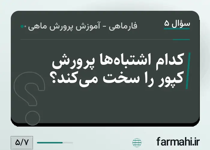 کدام اشتباه‌ها پرورش کپور را سخت می‌کند؟