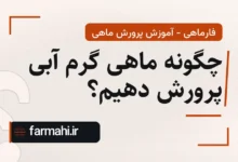 چگونه ماهی گرم آبی پرورش دهیم؟