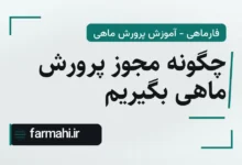 چگونه مجوز پرورش ماهی بگیریم