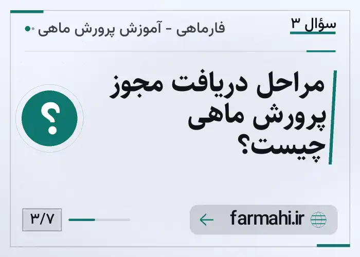 مراحل دریافت مجوز پرورش ماهی چیست؟