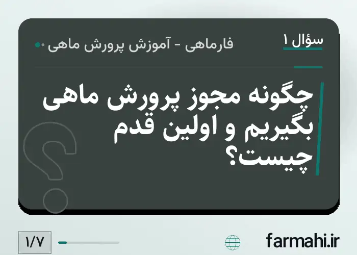 چگونه مجوز پرورش ماهی بگیریم و اولین قدم چیست؟