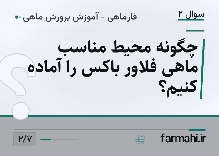 چگونه محیط مناسب ماهی فلاور باکس را آماده کنیم؟