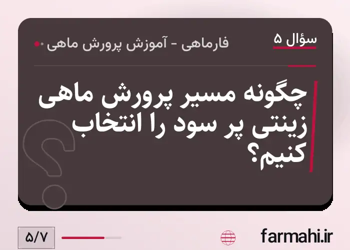 چگونه مسیر پرورش ماهی زینتی پر سود را انتخاب کنیم؟