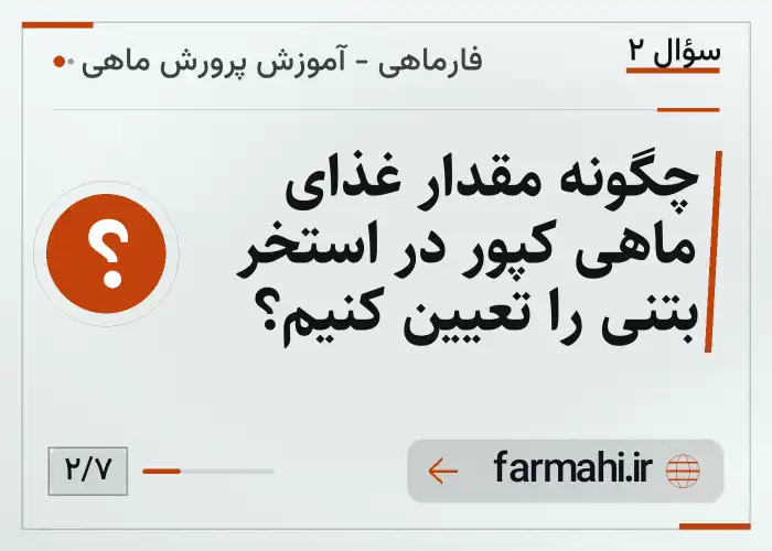 چگونه مقدار غذای ماهی کپور در استخر بتنی را تعیین کنیم؟