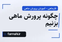 چگونه پرورش ماهی بزنیم