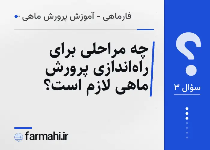 چه مراحلی برای راه‌اندازی پرورش ماهی لازم است؟