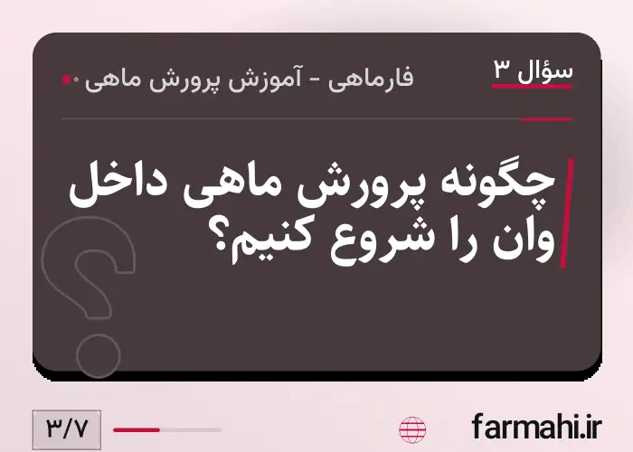 چگونه پرورش ماهی داخل وان را شروع کنیم؟