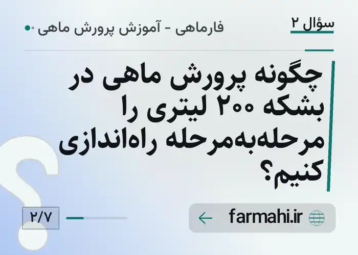 چگونه پرورش ماهی در بشکه ۲۰۰ لیتری را مرحله‌به‌مرحله راه‌اندازی کنیم؟