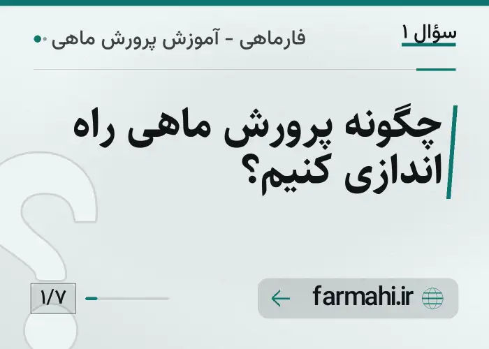 چگونه پرورش ماهی راه اندازی کنیم؟