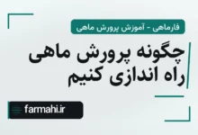 چگونه پرورش ماهی راه اندازی کنیم