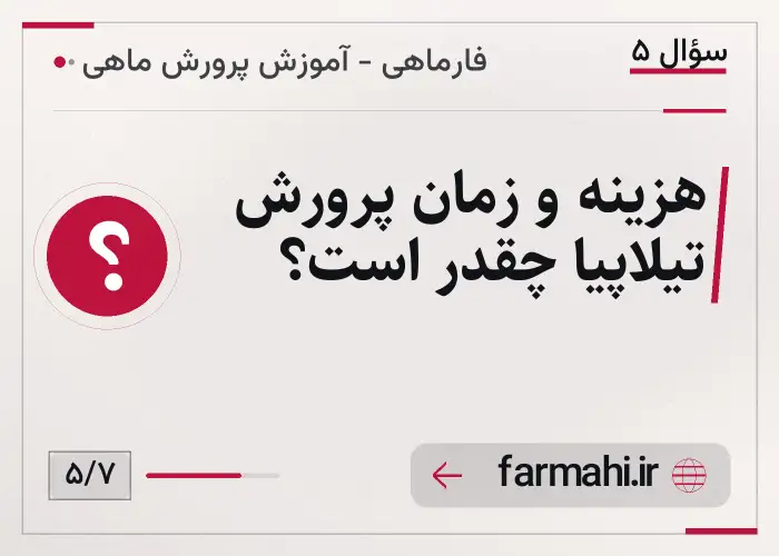 هزینه و زمان پرورش تیلاپیا چقدر است؟