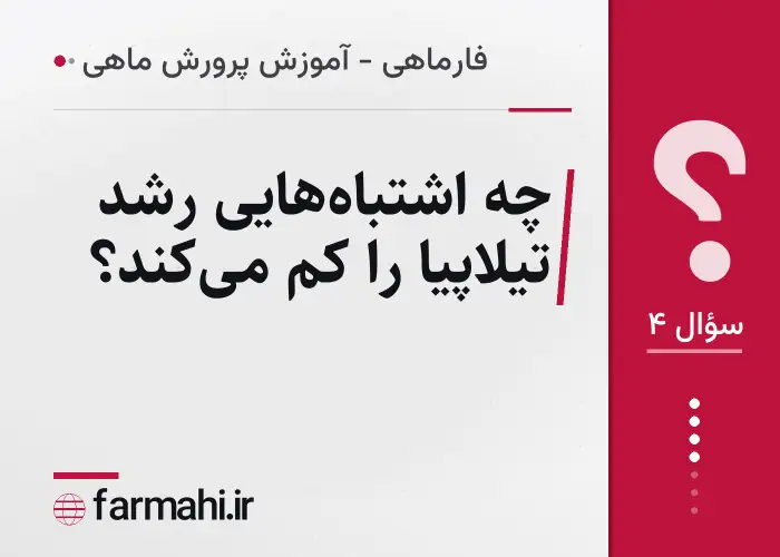 چه اشتباه‌هایی رشد تیلاپیا را کم می‌کند؟