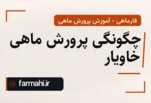 چگونگی پرورش ماهی خاویار