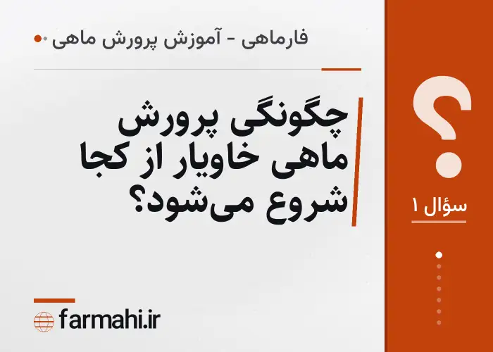 چگونگی پرورش ماهی خاویار از کجا شروع می‌شود؟