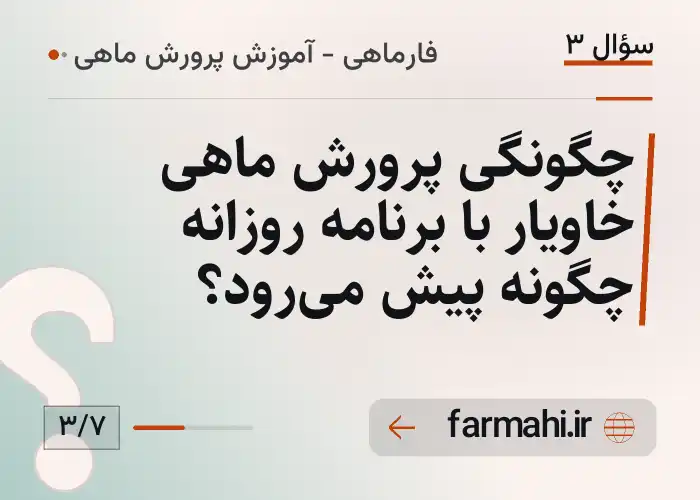 چگونگی پرورش ماهی خاویار با برنامه روزانه چگونه پیش می‌رود؟