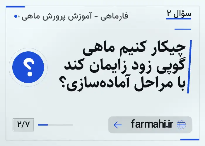 چیکار کنیم ماهی گوپی زود زایمان کند با مراحل آماده‌سازی؟