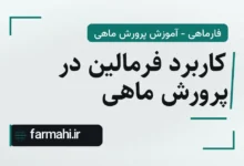 کاربرد فرمالین در پرورش ماهی