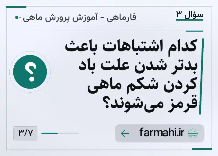 کدام اشتباهات باعث بدتر شدن علت باد کردن شکم ماهی قرمز می‌شوند؟