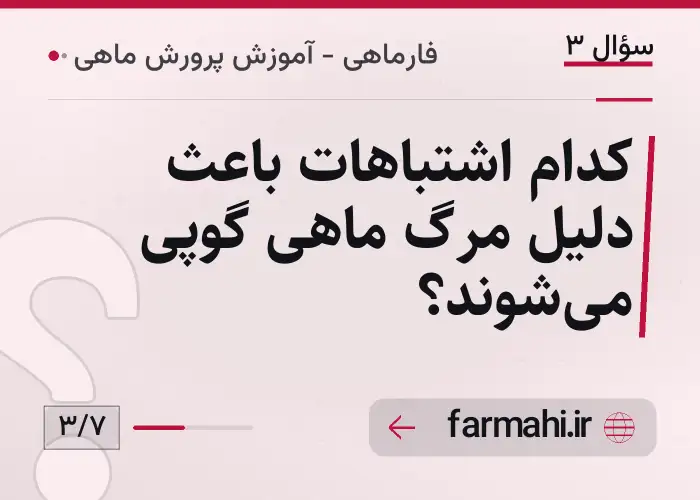 کدام اشتباهات باعث دلیل مرگ ماهی گوپی می‌شوند؟