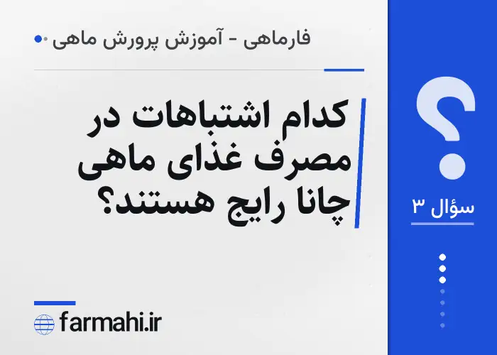 کدام اشتباهات در مصرف غذای ماهی چانا رایج هستند؟