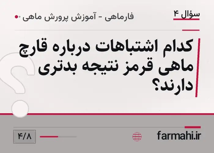 کدام اشتباهات درباره قارچ ماهی قرمز نتیجه بدتری دارند؟
