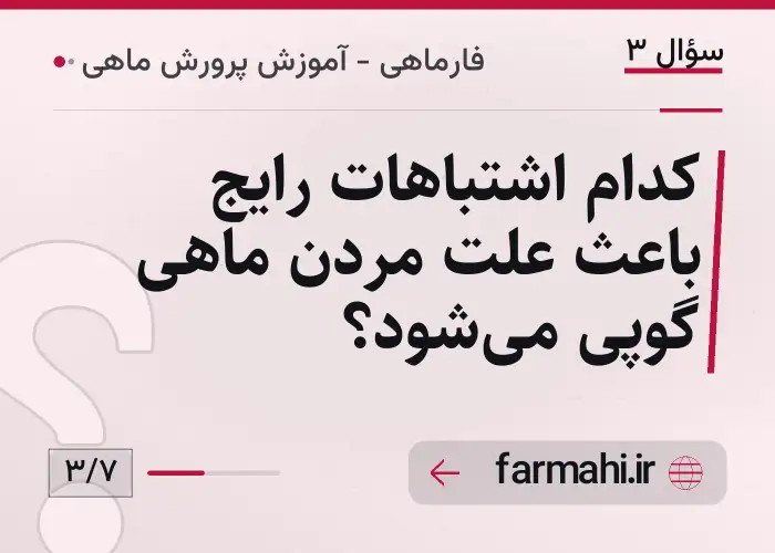 کدام اشتباهات رایج باعث علت مردن ماهی گوپی می‌شود؟