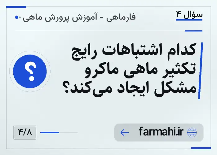 کدام اشتباهات رایج تکثیر ماهی ماکرو مشکل ایجاد می‌کند؟