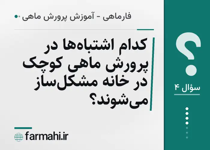 کدام اشتباه‌ها در پرورش ماهی کوچک در خانه مشکل‌ساز می‌شوند؟