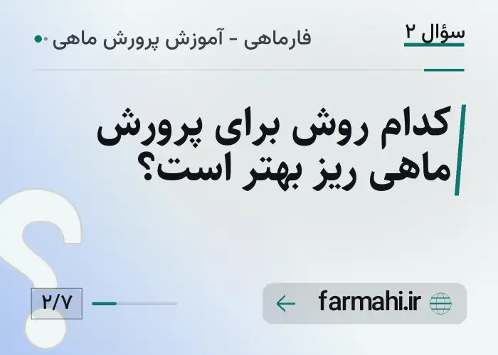 کدام روش برای پرورش ماهی ریز بهتر است؟