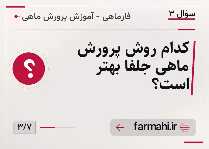 کدام روش پرورش ماهی جلفا بهتر است؟