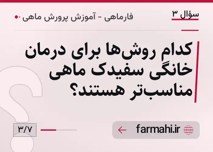 کدام روش‌ها برای درمان خانگی سفیدک ماهی مناسب‌تر هستند؟