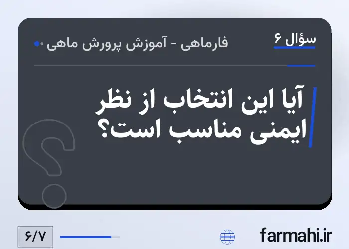 آیا این انتخاب از نظر ایمنی مناسب است؟