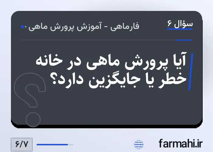 آیا پرورش ماهی در خانه خطر یا جایگزین دارد؟