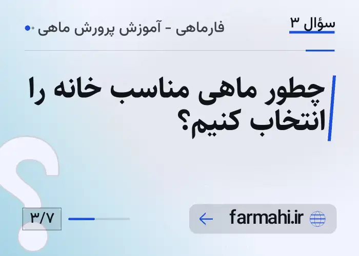 چطور ماهی مناسب خانه را انتخاب کنیم؟