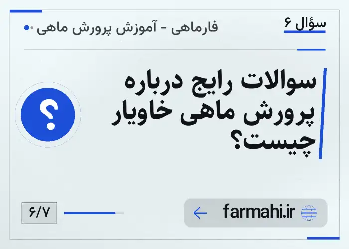 سوالات رایج درباره پرورش ماهی خاویار چیست؟
