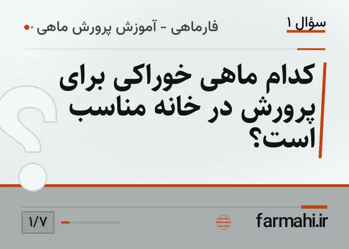کدام ماهی خوراکی برای پرورش در خانه مناسب است؟