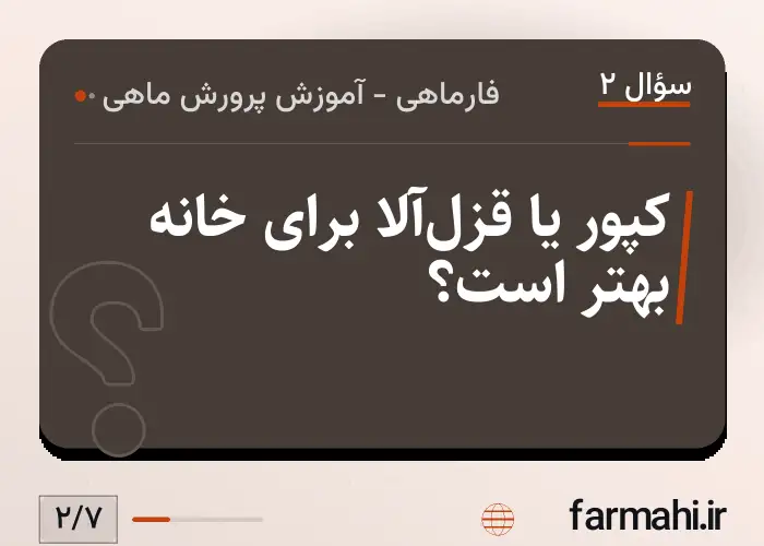 کپور یا قزل‌آلا برای خانه بهتر است؟