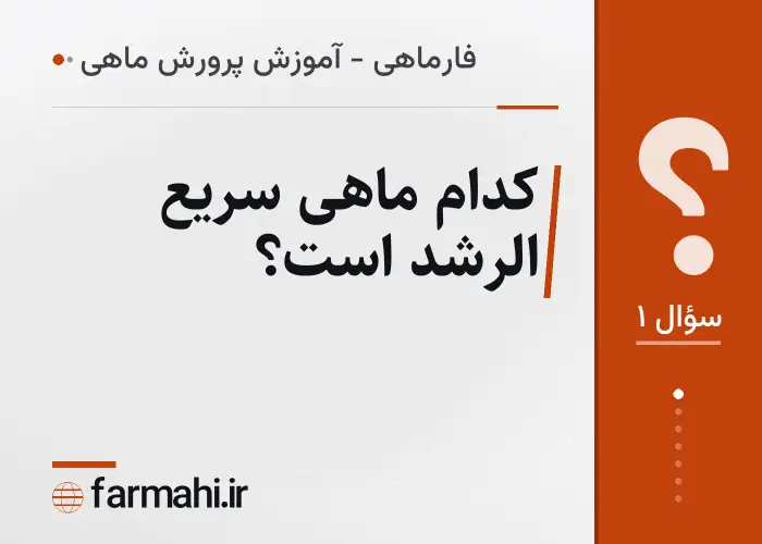 کدام ماهی سریع الرشد است؟