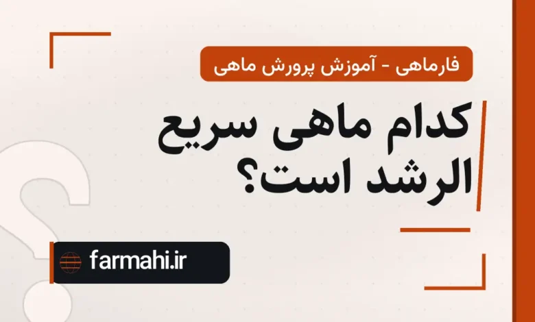 کدام ماهی سریع الرشد است؟